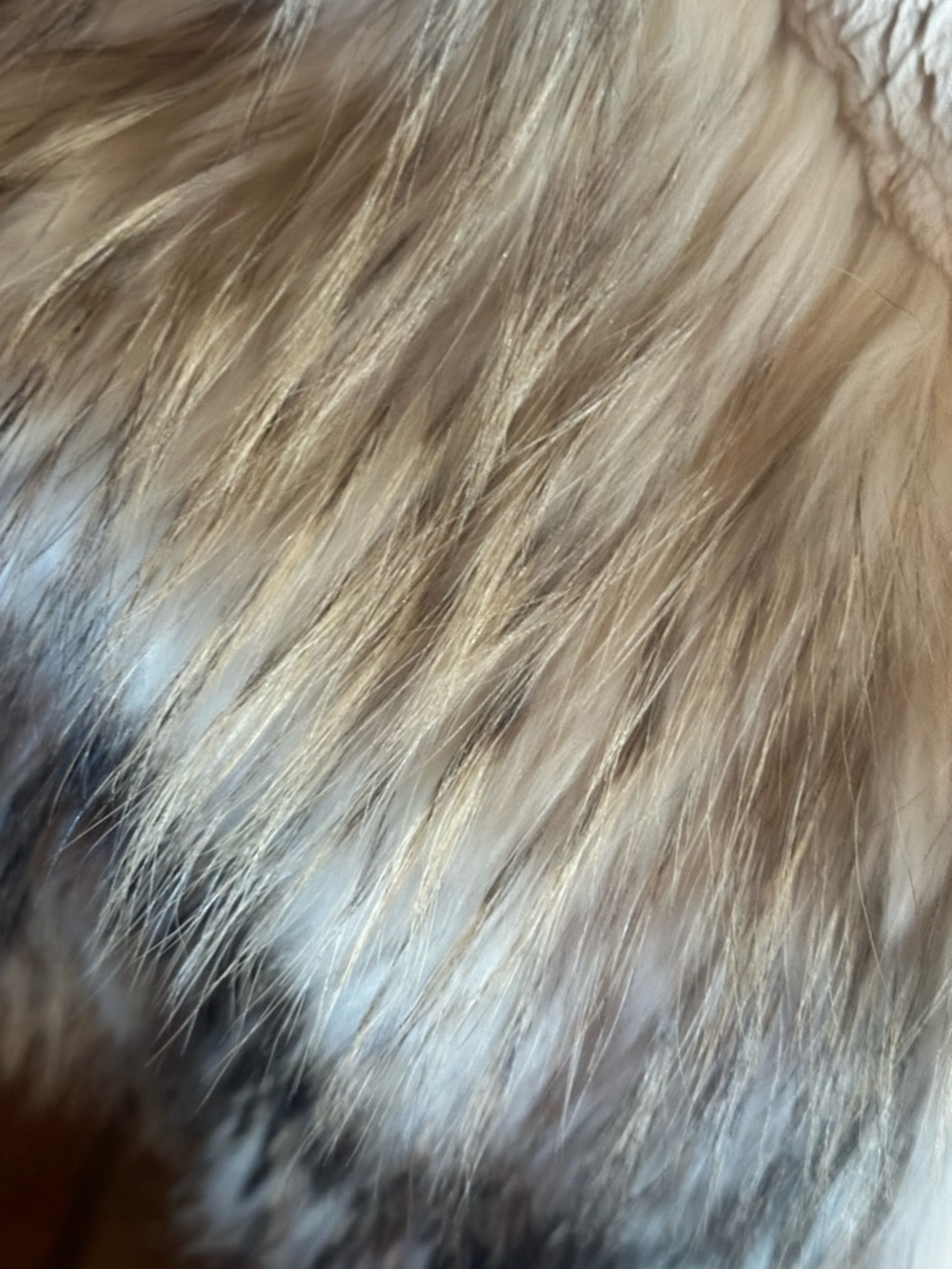 Huge & Heavy Fredrico Bano Fur Coat - Picture 5 of 9